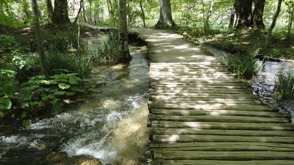 DSC06911 (Copier).JPG