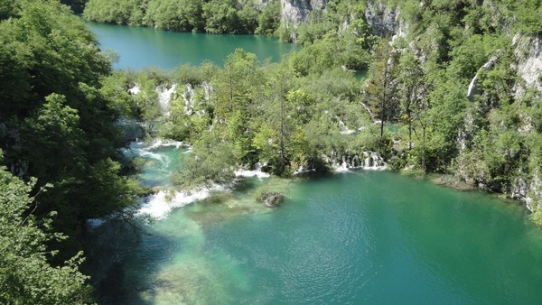 DSC06874 (Copier).JPG