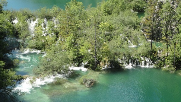 DSC06875 (Copier).JPG