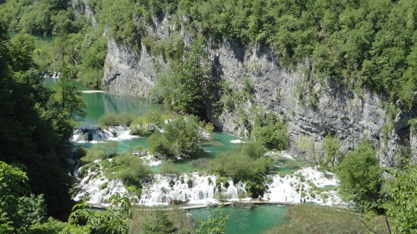 DSC06871 (Copier).JPG