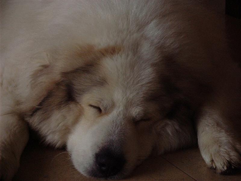 DSCF0109 (Medium).JPG