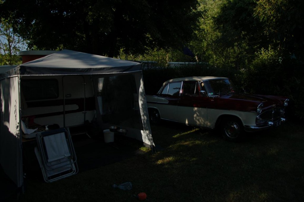 DSC_6317 (Medium).JPG