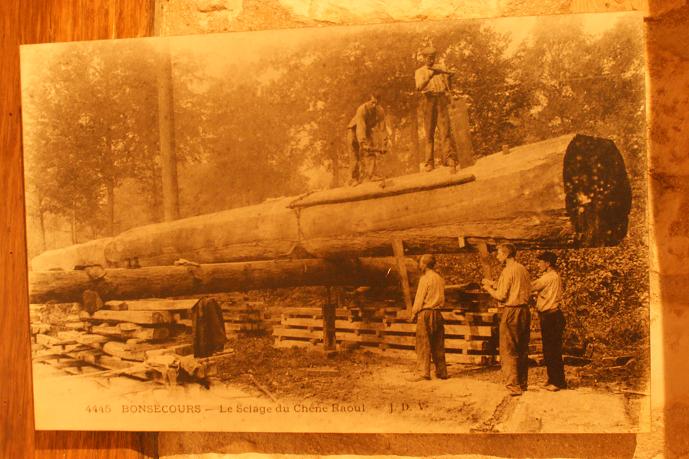 pour faire des allumettes?