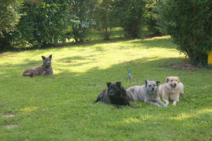 va bien avoir quelque chose pour nous?
