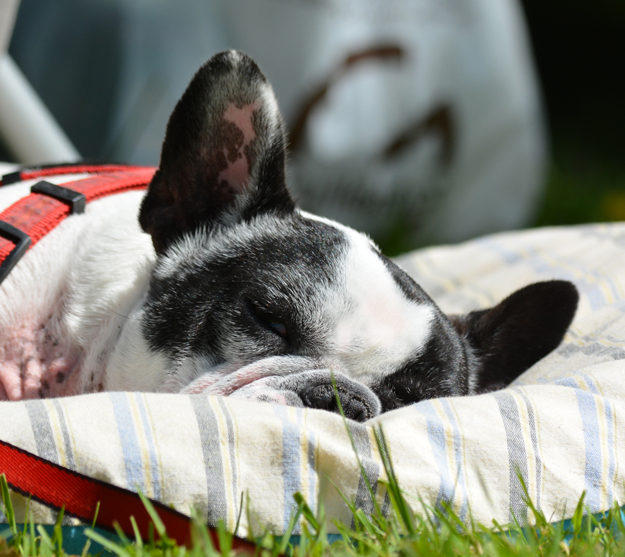 Trop dur la vie en Eriba....