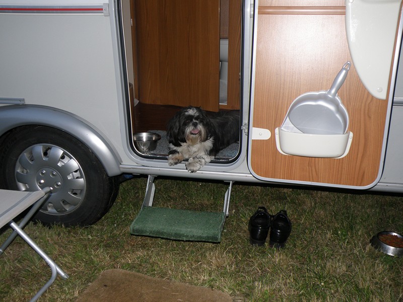 Guimauve apprécie ce repos mérité