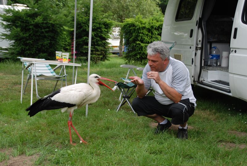 avec un appétit grand comme