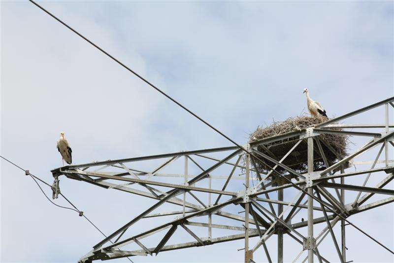 IMG_7581 (Medium).JPG