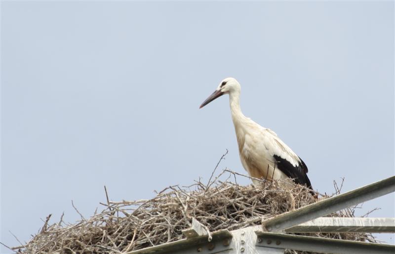 IMG_7582-1 (Medium).jpg