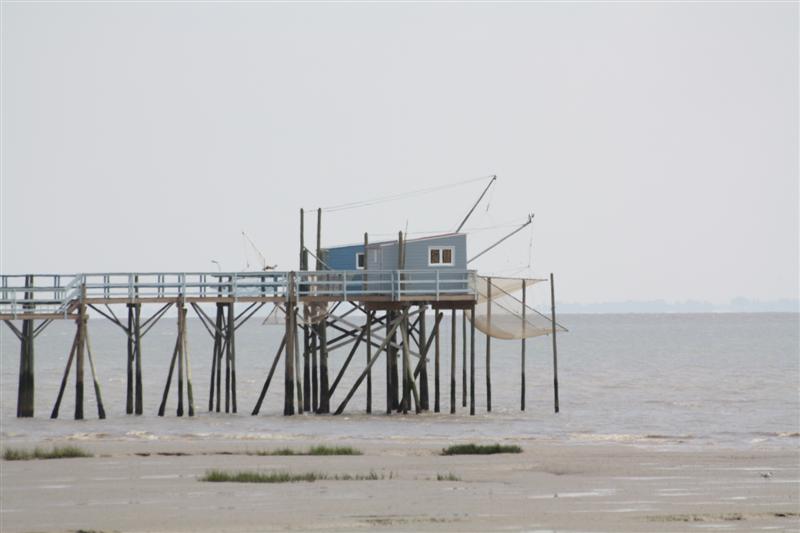 IMG_7539 (Medium).JPG