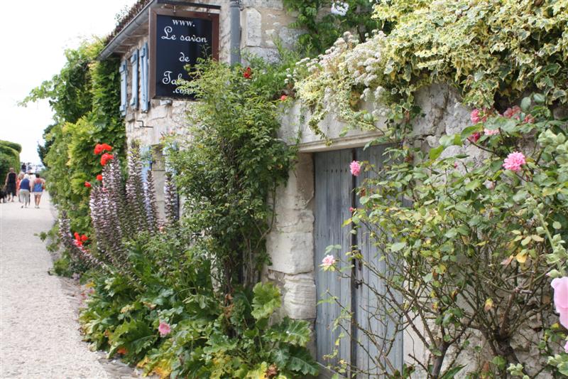 IMG_7545 (Medium).JPG