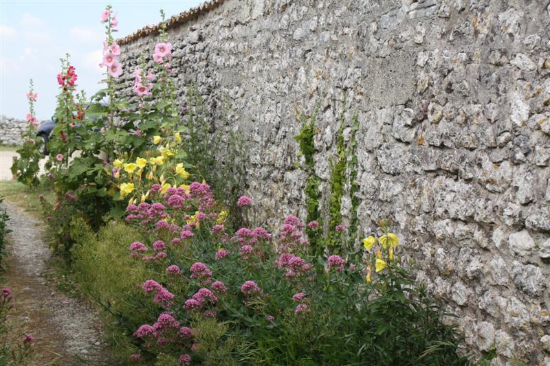 IMG_7549 (Medium).JPG