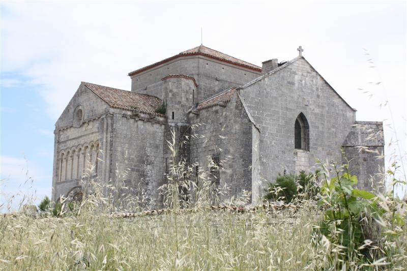 IMG_7551 (Medium).JPG