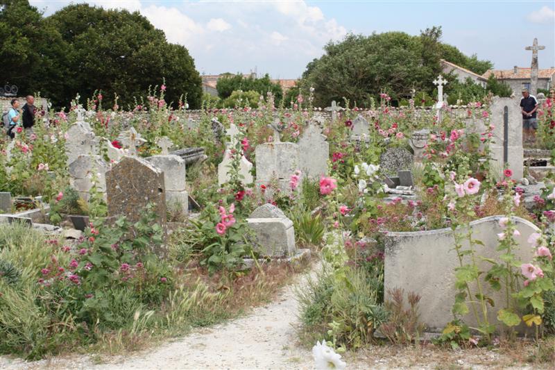 IMG_7553 (Medium).JPG