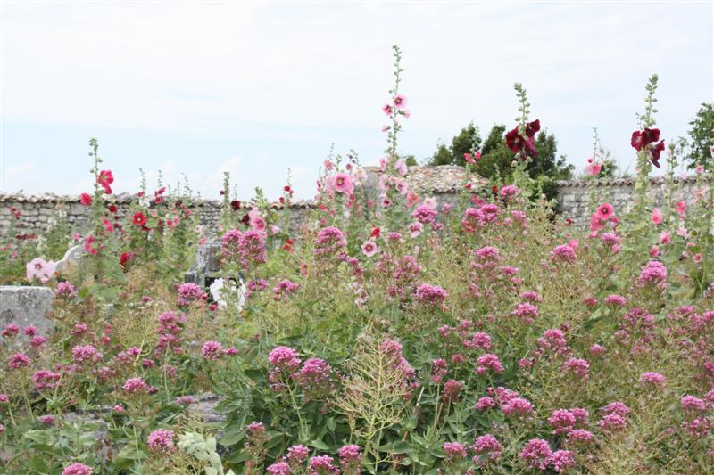 IMG_7562 (Medium).JPG