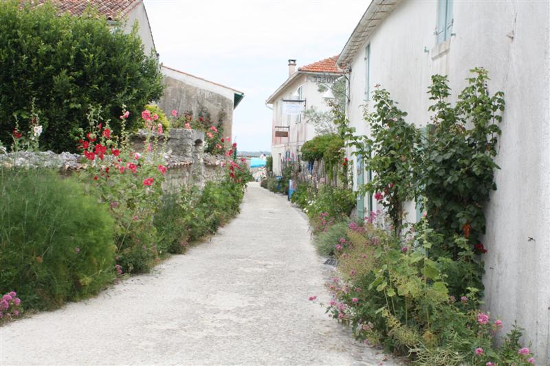 IMG_7564 (Medium).JPG