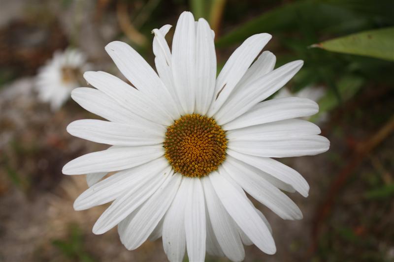 IMG_7568 (Medium).JPG