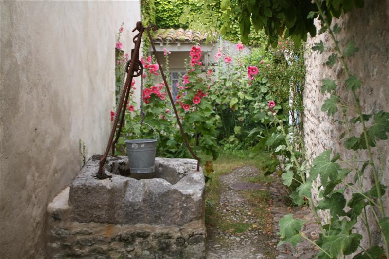 IMG_7569 (Medium).JPG