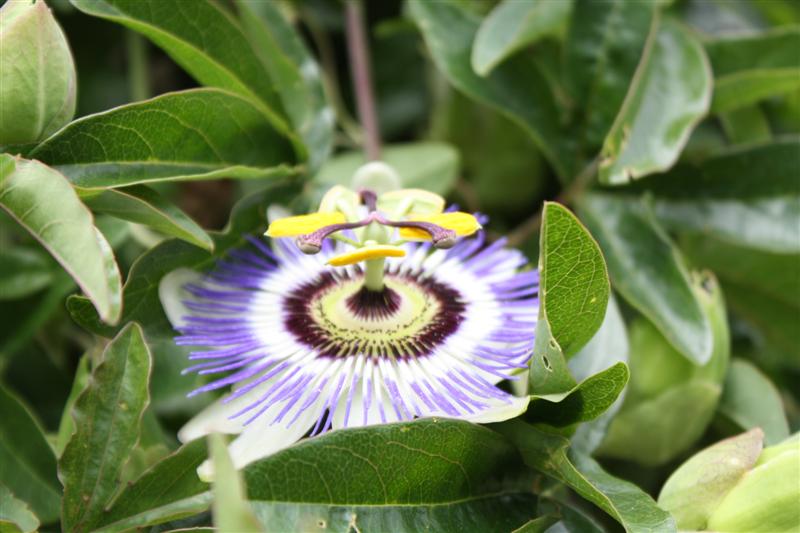 IMG_7573 (Medium).JPG