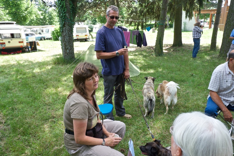 cernay 2014            90.jpg