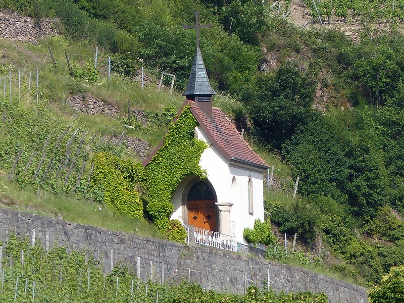 vieux than la chapelle dans les vignes à flanc de coteau