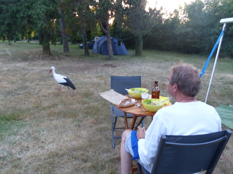 cernay la visiteuse du soir