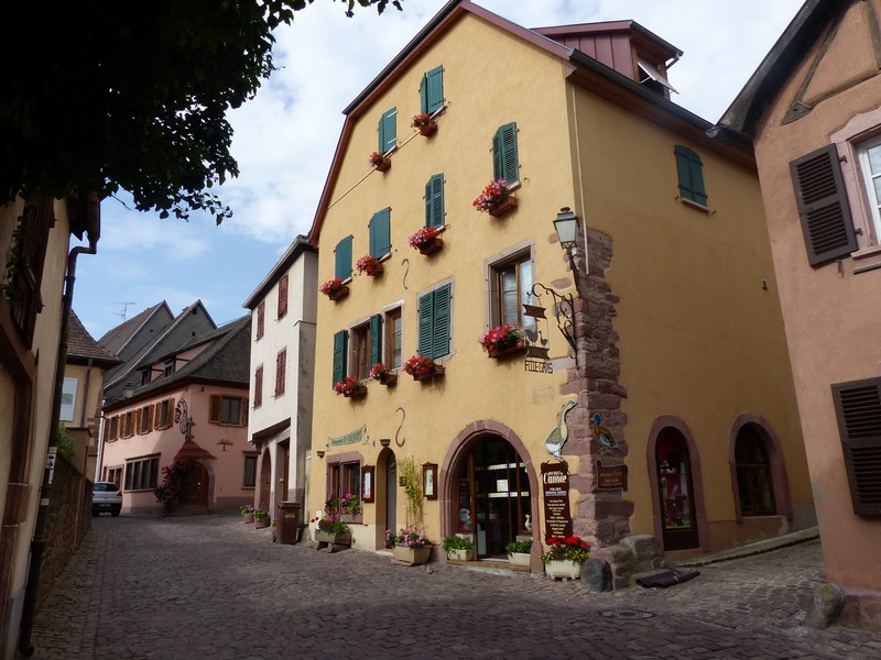 P1010973 (Copier).JPG