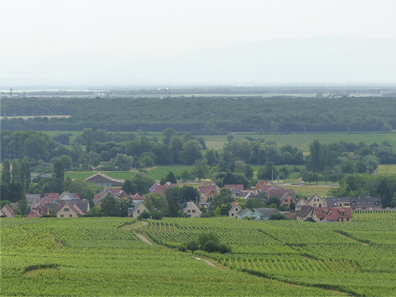arrivée sur eiguisheim