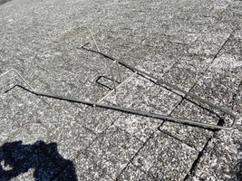 DSC08737 (Copier) (Copier).JPG