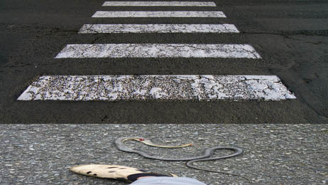 passage_pieton copie.jpg