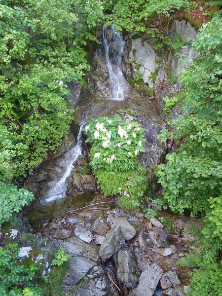 P1020180 (Copier).JPG