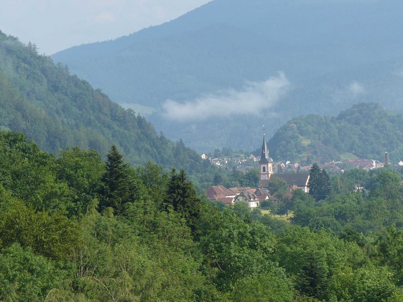 P1020178(1) (Copier).JPG