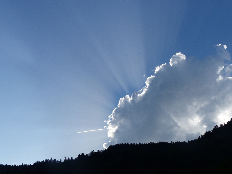 pour les observateurs !!!!!!