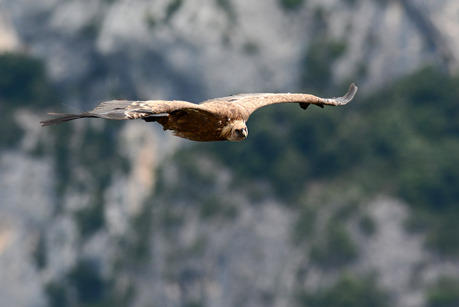 DSC_8695.jpg