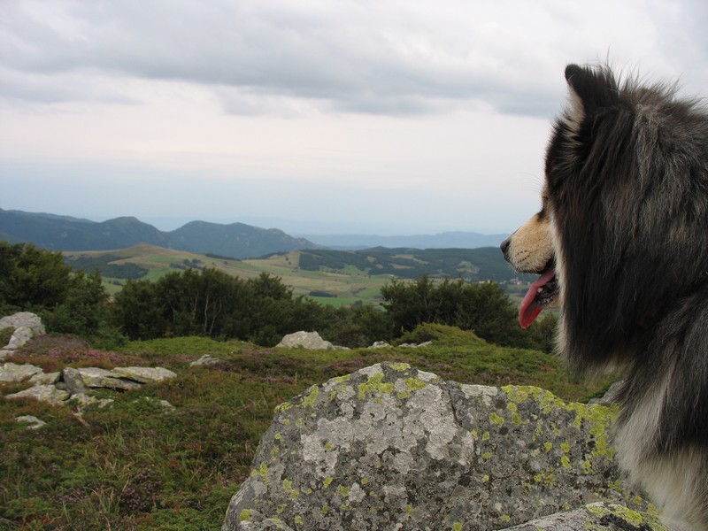 du haut d'un suc volcanique.jpg