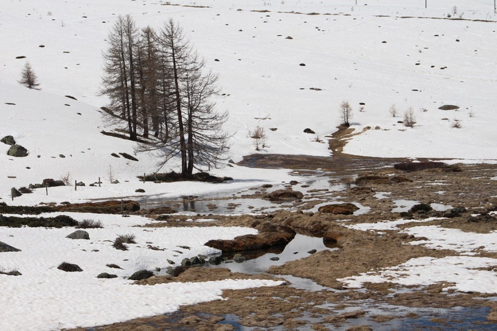 La clarée0514 446 (Copier).JPG