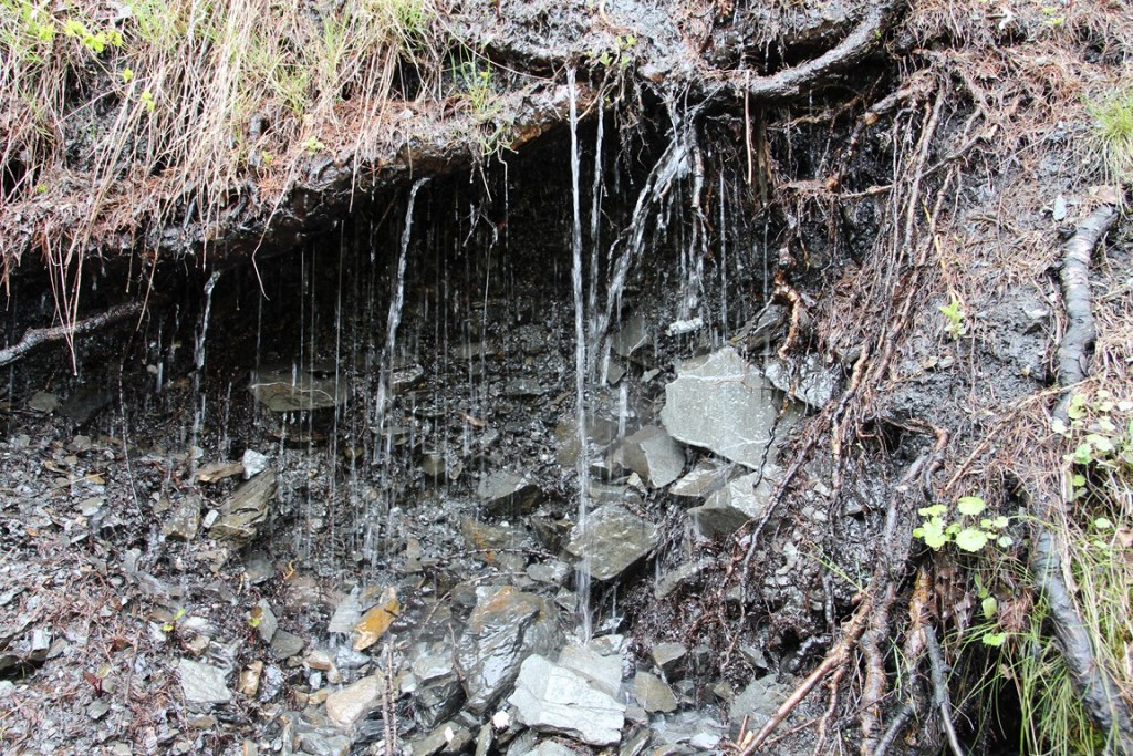 La clarée0514 548 (Copier).JPG