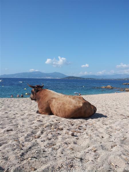 plage de Mare e Sole.jpg
