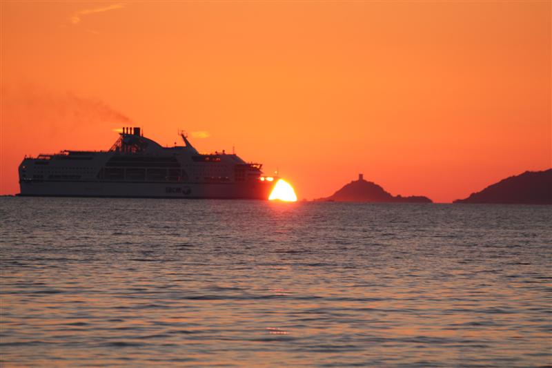 IMG_8012 (Medium).JPG