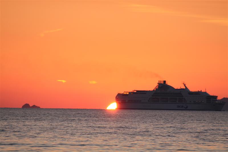 IMG_8015 (Medium).JPG