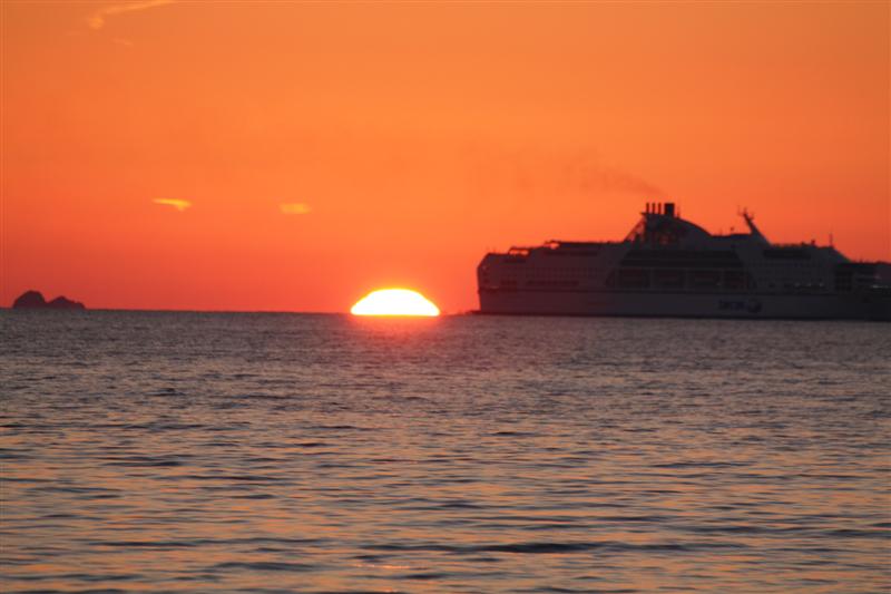 IMG_8016 (Medium).JPG