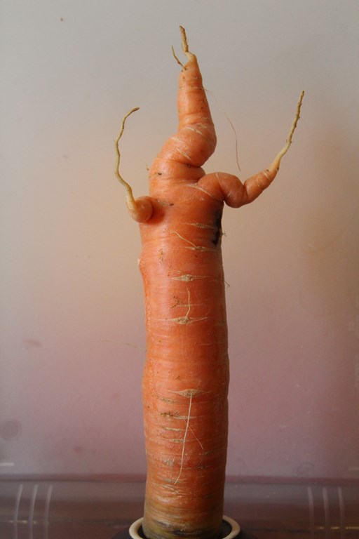 IMG_4269 (Copier).JPG