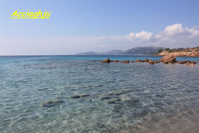 acciaghju (1) (Medium).jpg