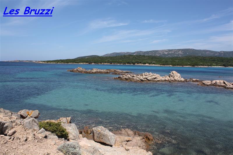 les bruzzi (3) (Medium).jpg