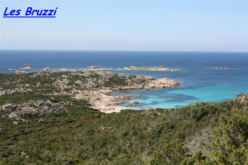 les bruzzi (Medium).jpg