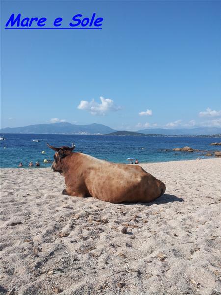 mare e sole (1) (Medium).jpg