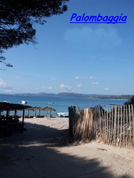 palombaggia (1) (Medium).jpg
