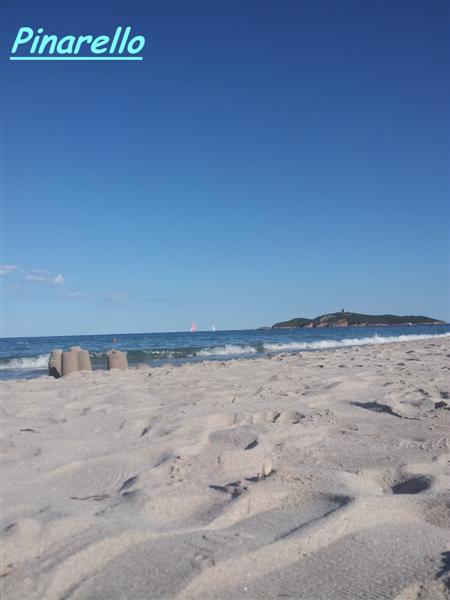 pinarello (2) (Medium).jpg