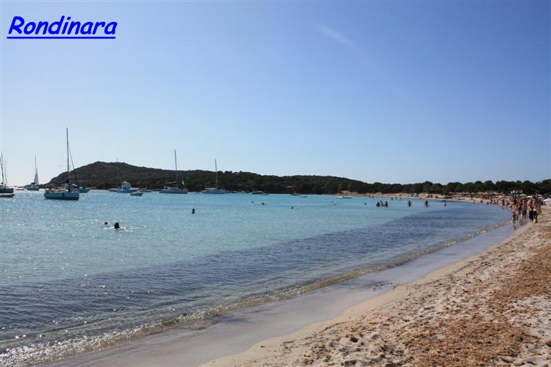 rondinara (4) (Medium).jpg