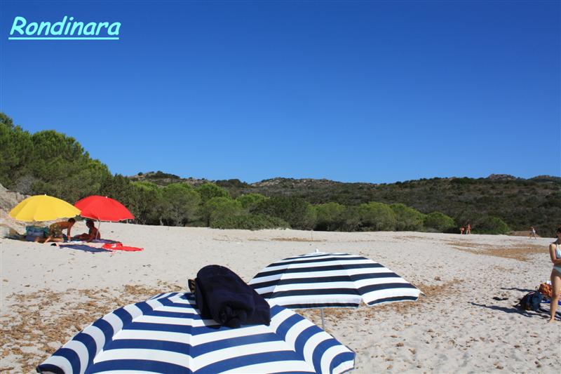 rondinara (6) (Medium).jpg